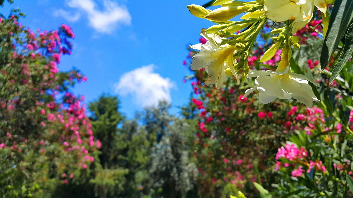 Yeni bir ay, yeni bir mevsim güzellikler getirsin hepimize...#kışbaşlıyor #aralik #kampustenkareler #universitemiseviyorum