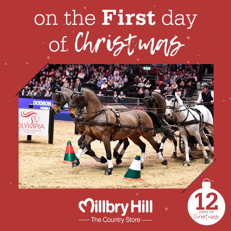 MillbryHill's tweet photo. 🎅🏽12 days of Christmas has started 🎅🏽
DAY 1....
WIN 2 X OLYMPIA TICKETS - Friday 15th December 2017. Check out our Facebook page to enter ⛄️ https://t.co/vMwppcJ1pt