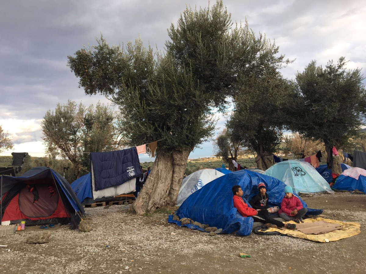 MSF_Sea's tweet photo. Every day men, women and children fleeing #Syria, #Iraq and #Afghanistan arrive on #Lesvos and lay down to sleep in a growing field of summer tents.  What's wrong with that? Well, it's winter, it's cold and it's inhumane. #opentheislands https://t.co/NvsquGmvrr