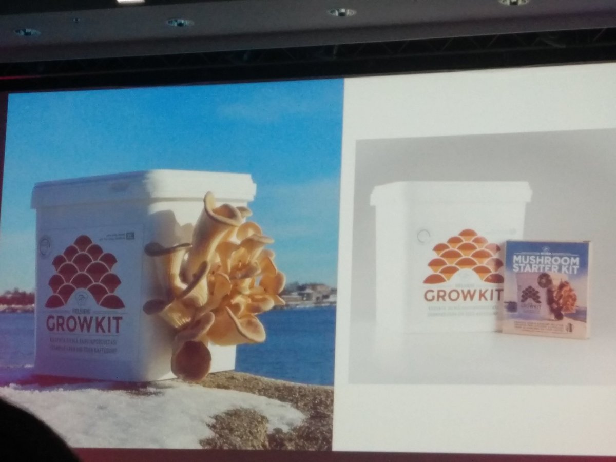 JRaisamo's tweet photo. Growing your own mushroom at home in a box, great! Helsieni.fi provides you small bag &amp; a recycled box, just add your daily coffee grounds. Sieniboxi.fi has a ready-made package.
#slush17 #slushYScience #helsieni #sieniboxi https://t.co/pS95mhqMuD