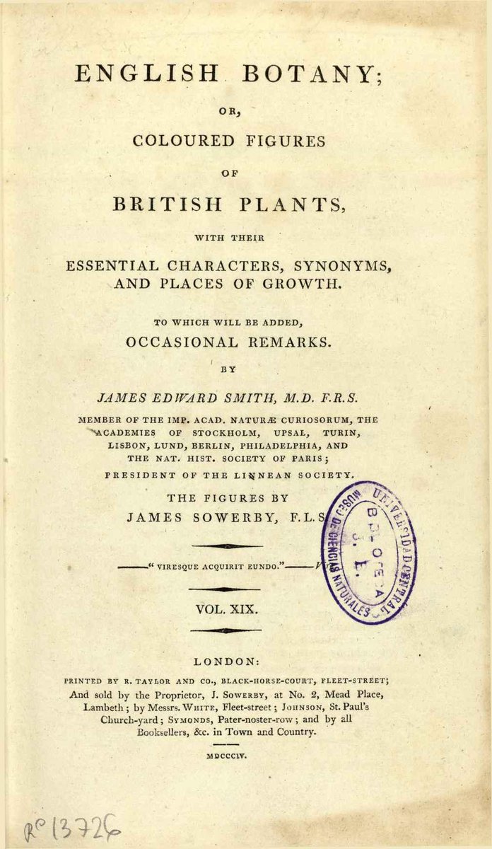 Biblioteca_RJB's tweet photo. #Sowerbaea género de la familia #Asparagaceae dedicado al gran ilustrador y grabador James Sowerby (1757–1822) #EponymFriday #Buenfinde @RJBOTANICO https://t.co/WXs36t32gD