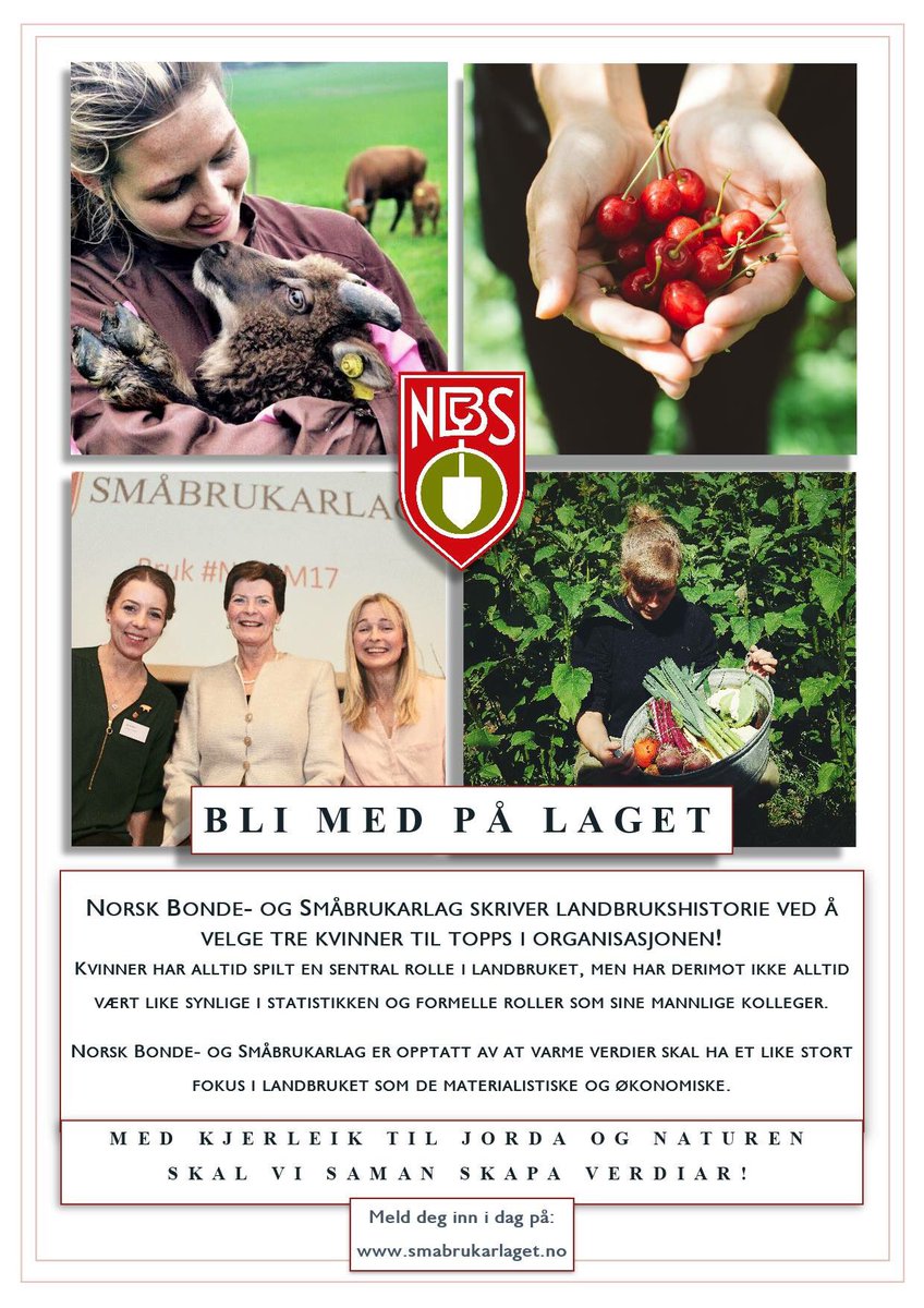 Stolt av å være en del av dette laget! Bli med du også💪🏻 <a href="/Smabrukarlaget/">Småbrukarlaget</a> <a href="/MereteFuruberg/">Merete Furuberg</a> <a href="/BergsetElv/">Ragnhild B Elvestad</a> <a href="/NorlandRn/">Torbjørn Norland</a> <a href="/JohnLvstad/">John Petter Løvstad</a> <a href="/NesjanPer/">Per-Anton Nesjan</a>