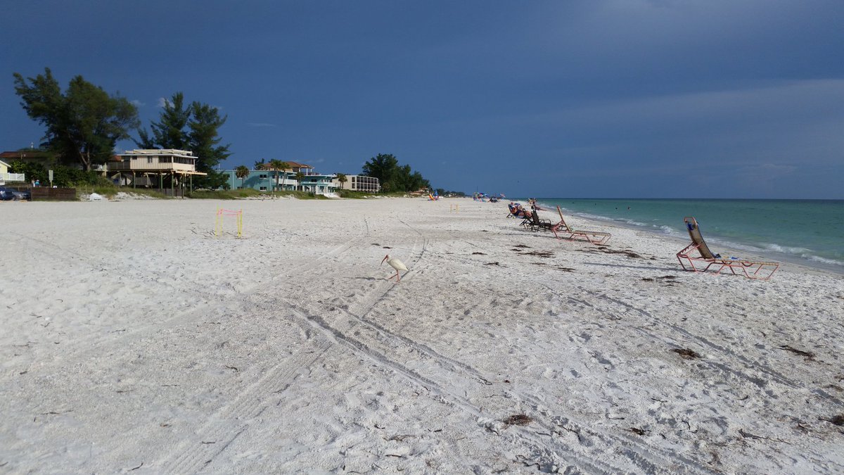 IslandReal's tweet image. Ready for weekend fun on #annamariaisland! #LoveFL #SWFL #FridayFeeling