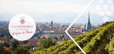 Vendemmie da Torino al Canavese 
► bit.ly/2AoewJL ◄ 
#StoriEnogastronomiche #grapesintown