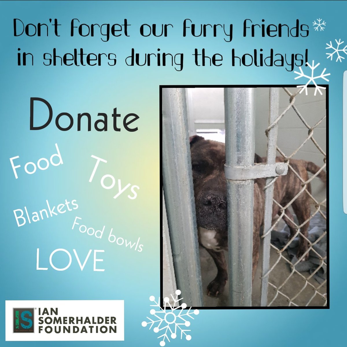 ISF Youth tweet media