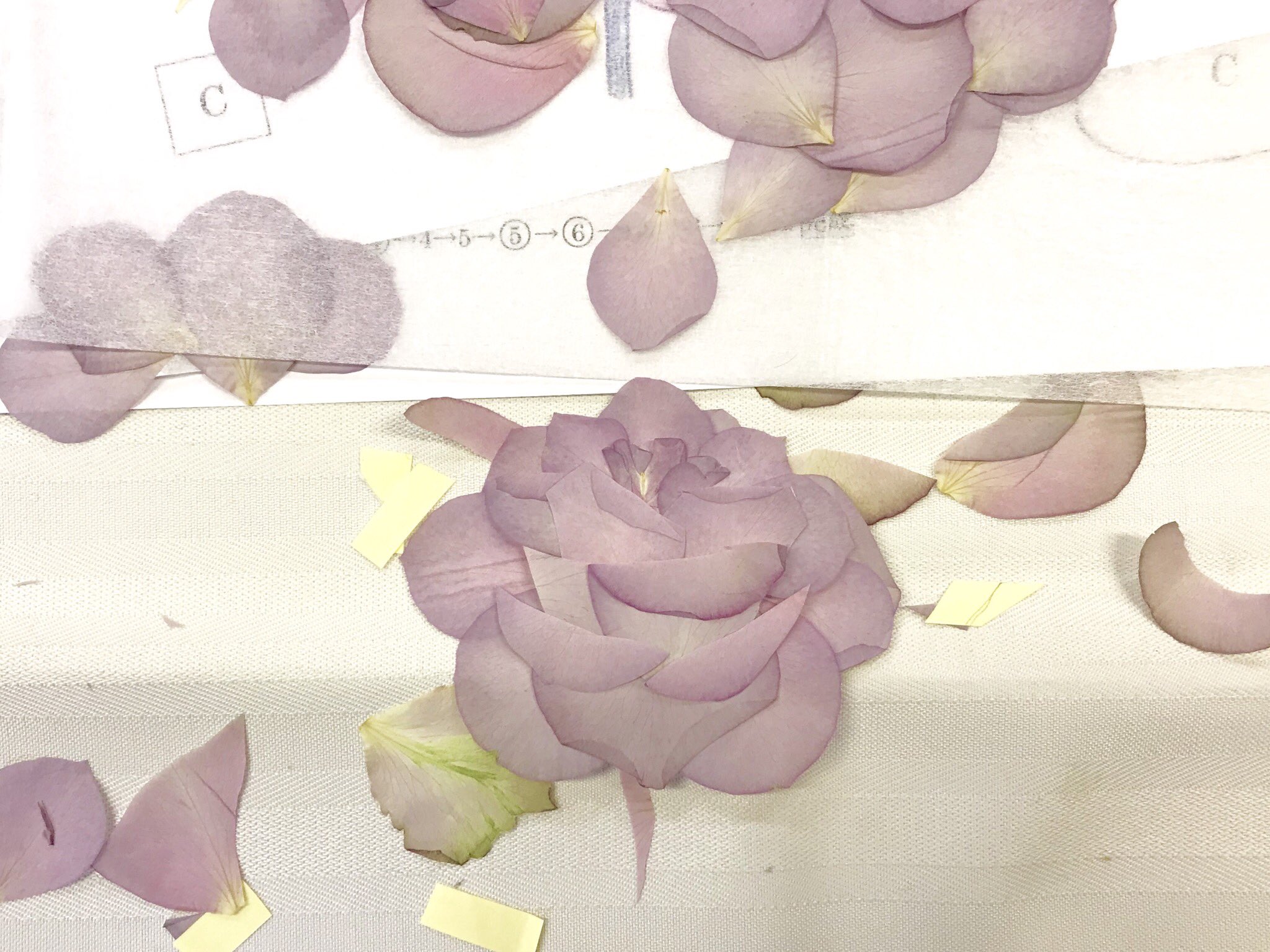 押し花サロン スイートアリッサム 今日は押し花の研修会でしたღ 漂白花と押し花のアレンジメント を学んでまいりました 押し花を漂白剤に２週間ほど浸しておくと真っ白な漂白花になります この漂白花と組み立てたバラで作品づくりです