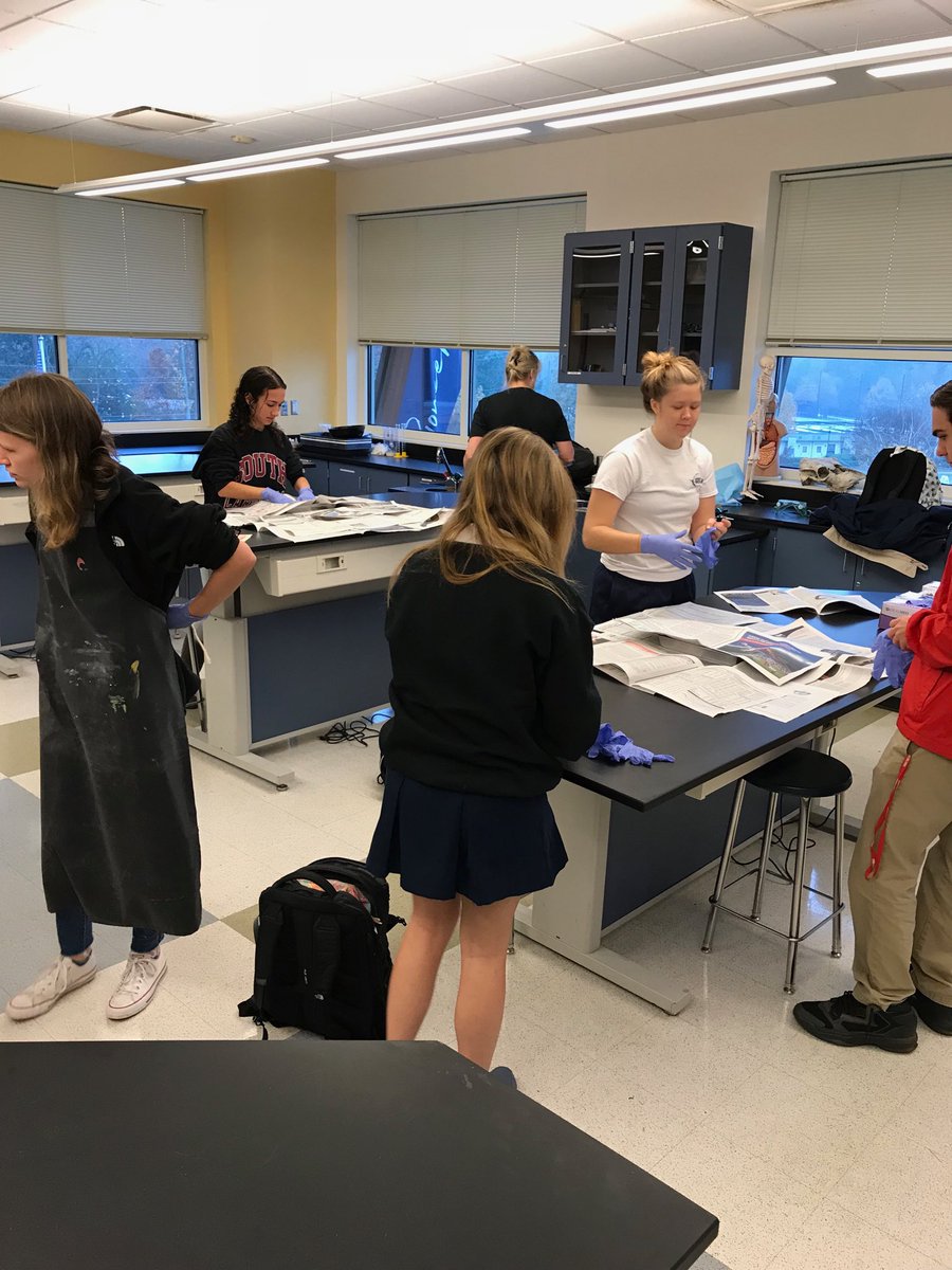 Grace_MVS2's tweet photo. Friday’s dissection. Muscles. Working the brain! #mvpschool #learningwalk https://t.co/NfJmM8Qk5G