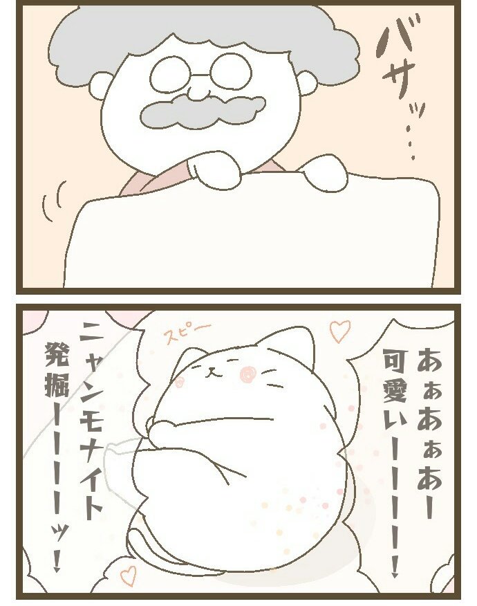 そういえば、今日から12月!
本格的にニャンモナイトの季節ですねฅ^•ω•^ฅ✨ 