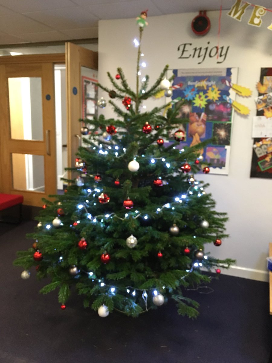 Pitmastonschool's tweet photo. Thank you to David’s Nurseries for donating such a beautiful Christmas Tree. Thank you so much! @davidsnurseries @HeadWilcock #beautifulchristmastree https://t.co/rCASfe7qbJ