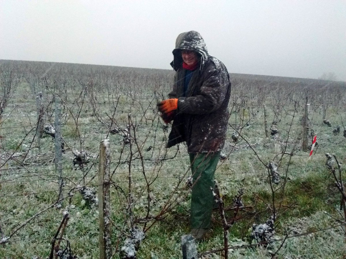 02400Champ_Huot's tweet photo. Taille de la #vigne sous la neige
#Champagne https://t.co/eYk02J25jF