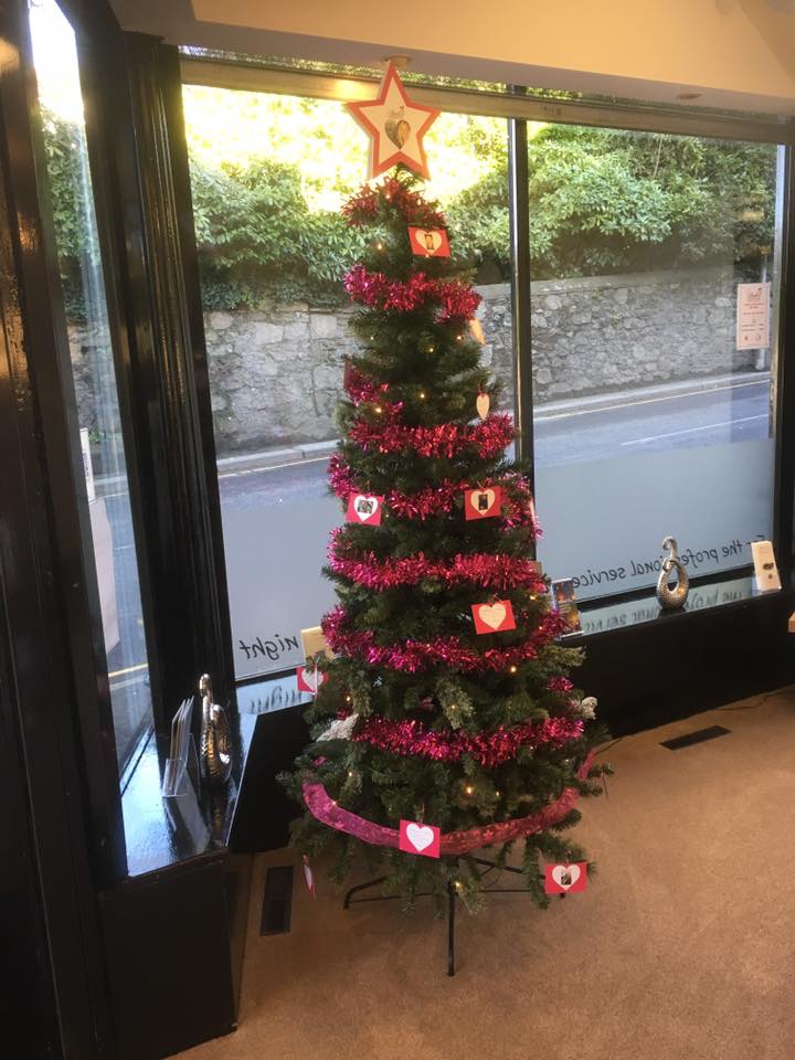 PaulBourtonFS's tweet photo. It's that time of year again where we remember the loved ones we have lost on our memory tree. 
Pop into our St Austell office, write a message on a card, place it on our tree and give a donation to @BethInspiredUs https://t.co/TI1AobPvNW