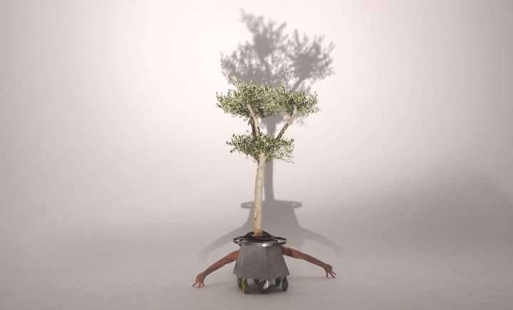 marialmazan25's tweet photo. 🍃GANADOR 2ºPREMIO  @BIONICFESTIVAL ☘- ABIÁN NAUZET HERNÁNDEZ HERRERA &amp; OLEA EUROPAEA en MADPHOTO #danzabionica #bionicstars #winners2017 https://t.co/MMS38RXYyl https://t.co/s5bMJGXHN4