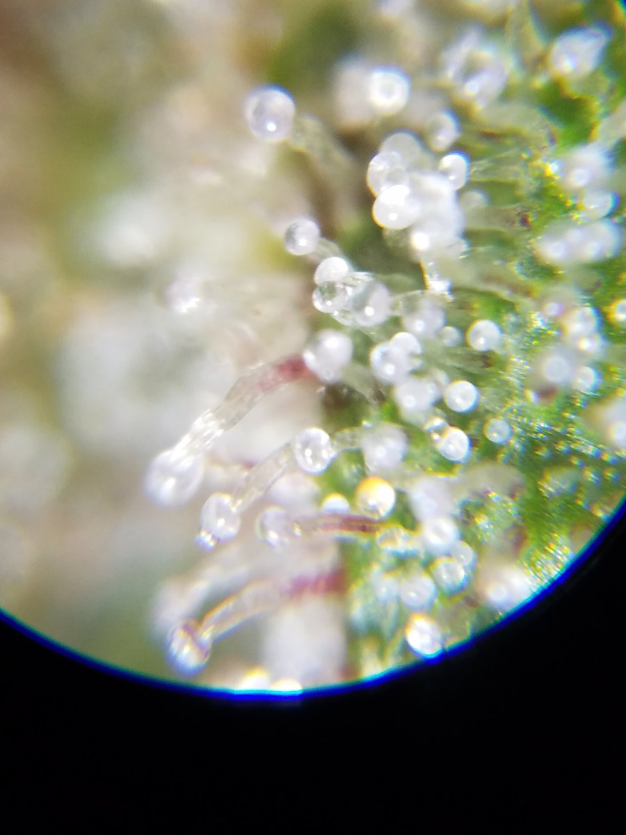 PrivateLabelBot tweet picture