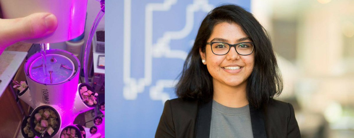 BiomedicalZone's tweet photo. Former #BiomedicalZone member @lmenon01 reflects on her time as a #LevyFellow & startup co-founder @RUZoneLearning https://t.co/i5VP8zmMaR https://t.co/XFxilGhwyQ