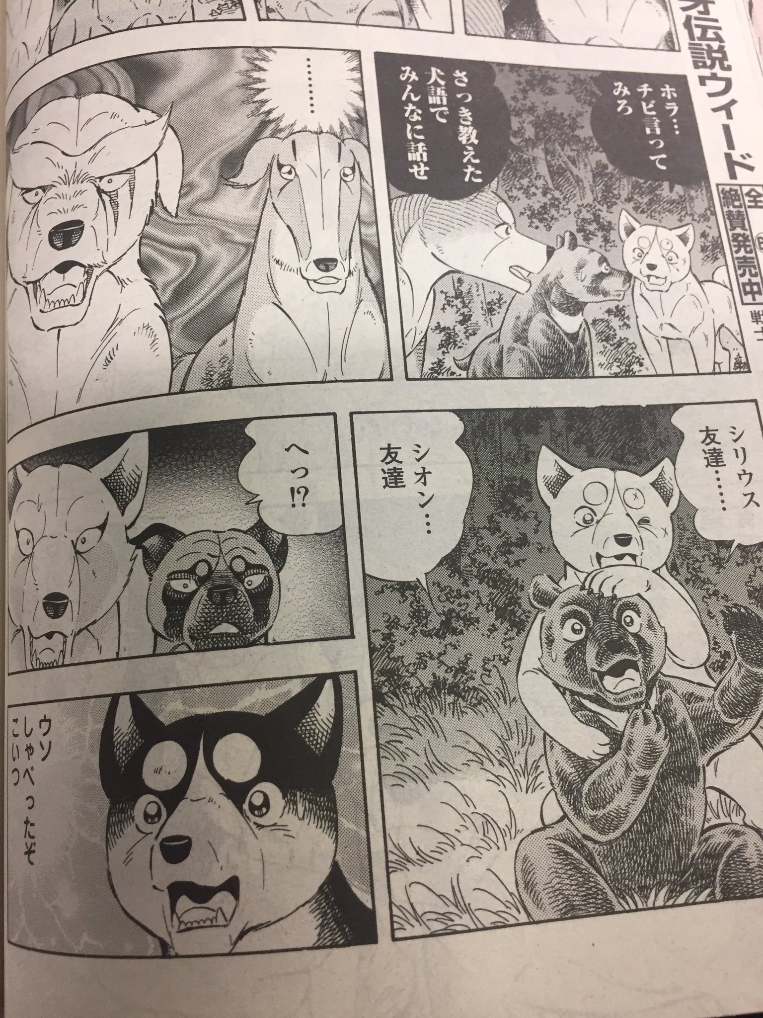 松本 知らない人は知らないこと 銀牙 シリーズは 犬が喋る って言われがちだけど あくまで犬同士が犬 語で喋ってるだけなので 人間はもちろんクマとも基本的には言葉は通じない クマと犬の言葉を通訳できる犬もいる 松本 知らない人は知らないこと 銀牙 シリーズは 犬が喋る って言われがちだけど あくまで犬同士が犬 語で喋ってるだけなので 人間はもちろんクマとも基本的には言葉は通じない クマと犬の言葉を通訳できる犬もいる