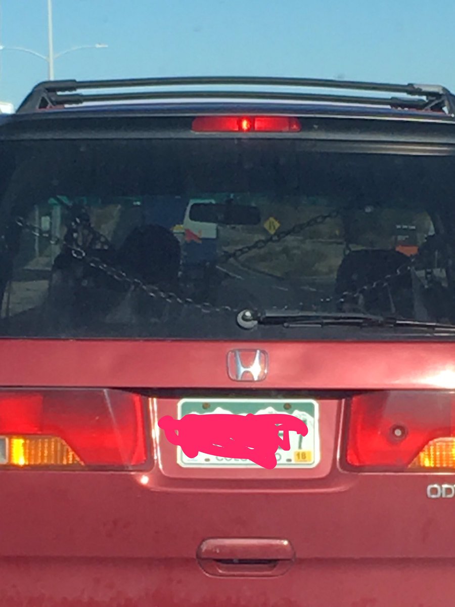 thelmaxshow's tweet photo. Potential #rapevan ? https://t.co/ve9W5Zr7YR