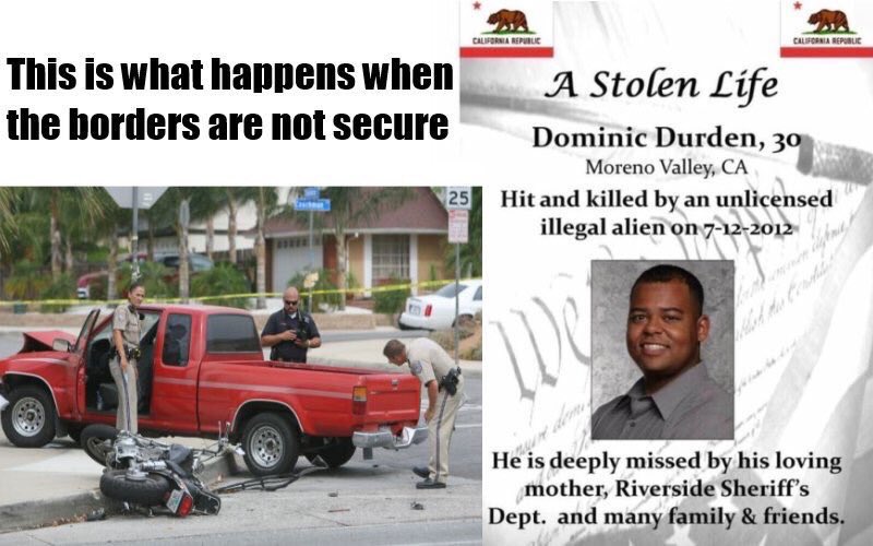 sabine_durden's tweet photo. If the killer of #KateSteinle would have shot the sea lion instead, he would’ve been found guilty, get prison time &amp; the left would b demonstrating. 🤬Where is support 4 🇺🇸victims https://t.co/aCYlfH93F6