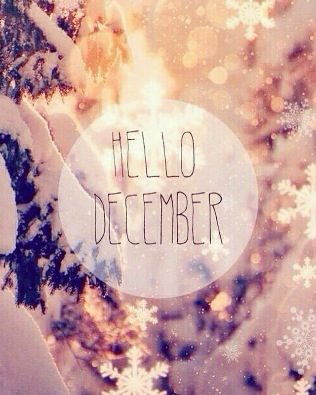 TranquilityBR's tweet photo. Happy 1’st of December &amp; also happy Friday 🤗❄️☃️🎄🎅🏽 https://t.co/cJyUjeW51D