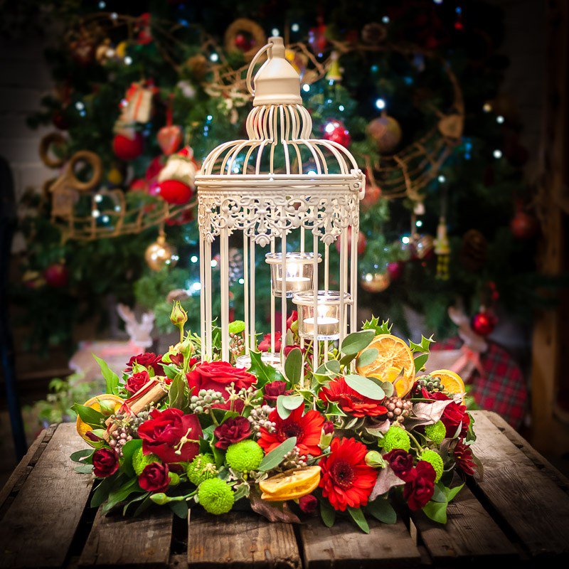 CottageGardenFS's tweet photo. Christmas Flower Designs for 2017 https://t.co/1zVHqHkpHY https://t.co/iZWTi1jIaH
