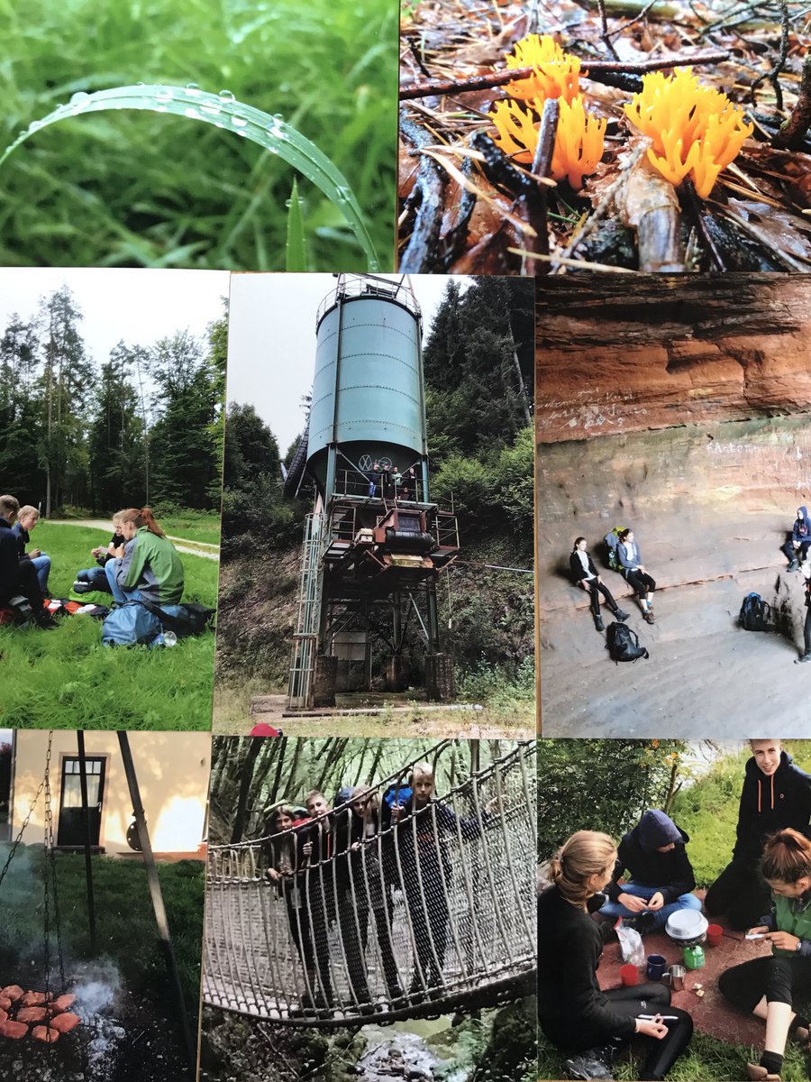 Margret Lensges tweet media