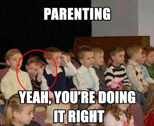 Smash Hills tweet media