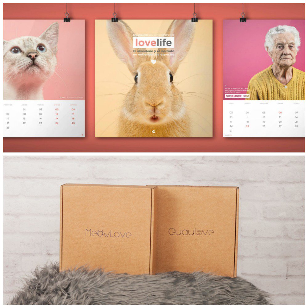 Este mes, <a href="/petlovebox/">PetLoveBox</a> y <a href="/AdopcionHoope/">Adopta HOOPE</a> se han unido de forma solidaria en su lucha por el bienestar animal, por eso, si estas Navidades quieres regalar una PetLoveBox, puedes añadir un calendario Hoope solidario, o directamente, comprar el calendario a Hoope!