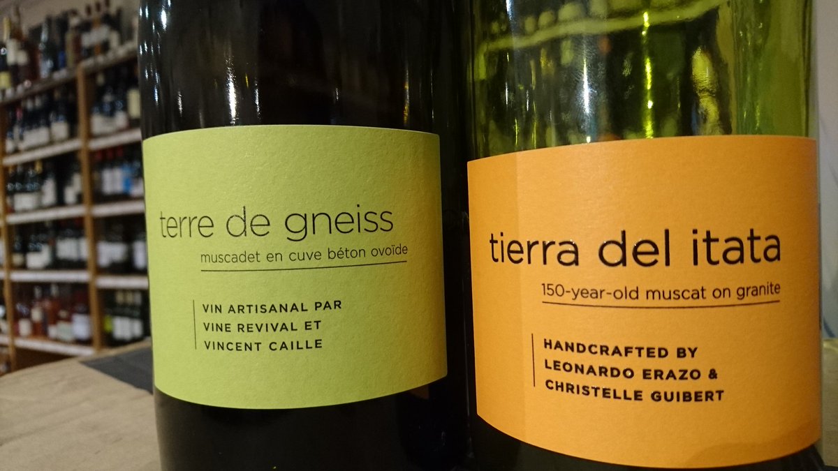 Interesting journey <a href="/Xtelle85/">Christelle Guibert</a> and amazing muscat <a href="/Caviste/">Caviste</a> <a href="/cbwines/">Carte Blanche Wines</a>,  #realwine #naturalwine #muscadet #orangewine #chilewine