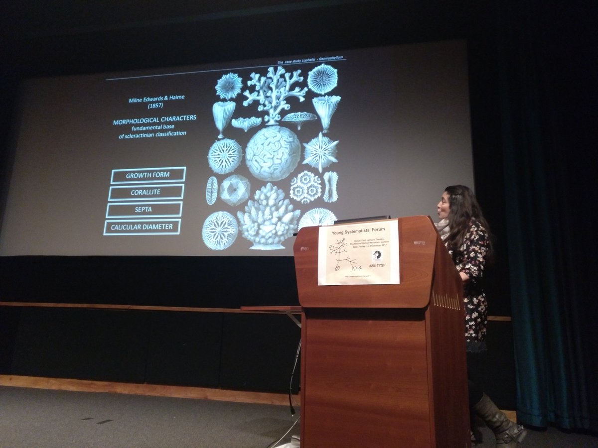 SystAssn's tweet photo. Anna Maria Adamo on different approaches to coral systematics #2017YSF https://t.co/PhLohgpHev