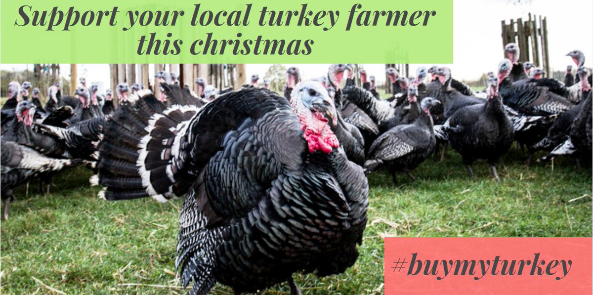 Find your local turkey producer by using our simple postcode search tool at: ow.ly/pxNA30gV63B #buymyturkey
