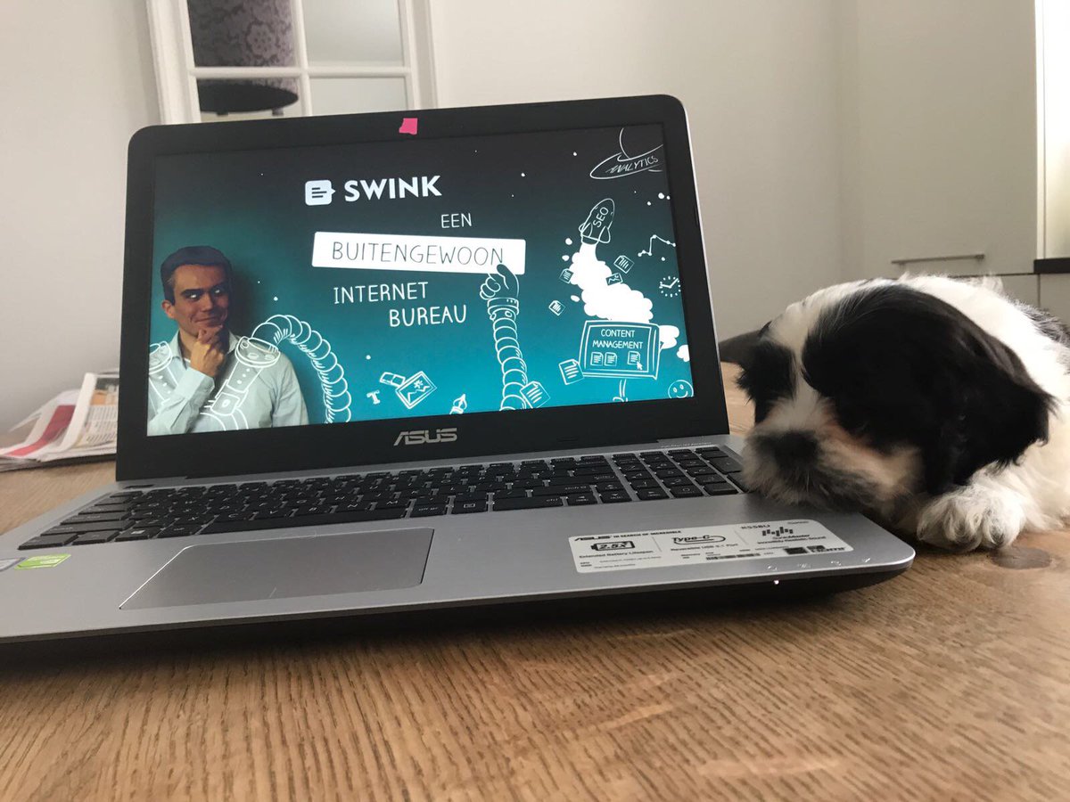 swinkwebservice's tweet image. Bij @NestleNederland mogen werknemers hun hond meenemen. Het leidt tot meer interactie tussen mensen en tot meer ontspanning. Onze #kantoorhond Pip bevordert ook het welzijn van onze medewerkers. facto.nl/huisdieren-op-…