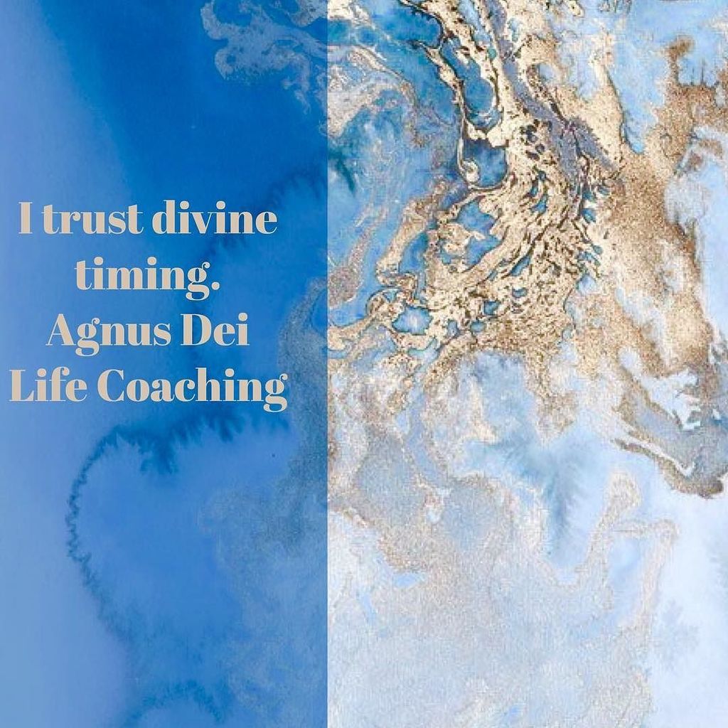 DonnaSHovey's tweet photo. Affirmation 
I trust divine timing.
#Friday #affirmation #transformation
#fluidmindset #goodvibestribe #believeinyou #mindsetiskey https://t.co/wlmiPEP8Zb https://t.co/xu8EfnXsXd