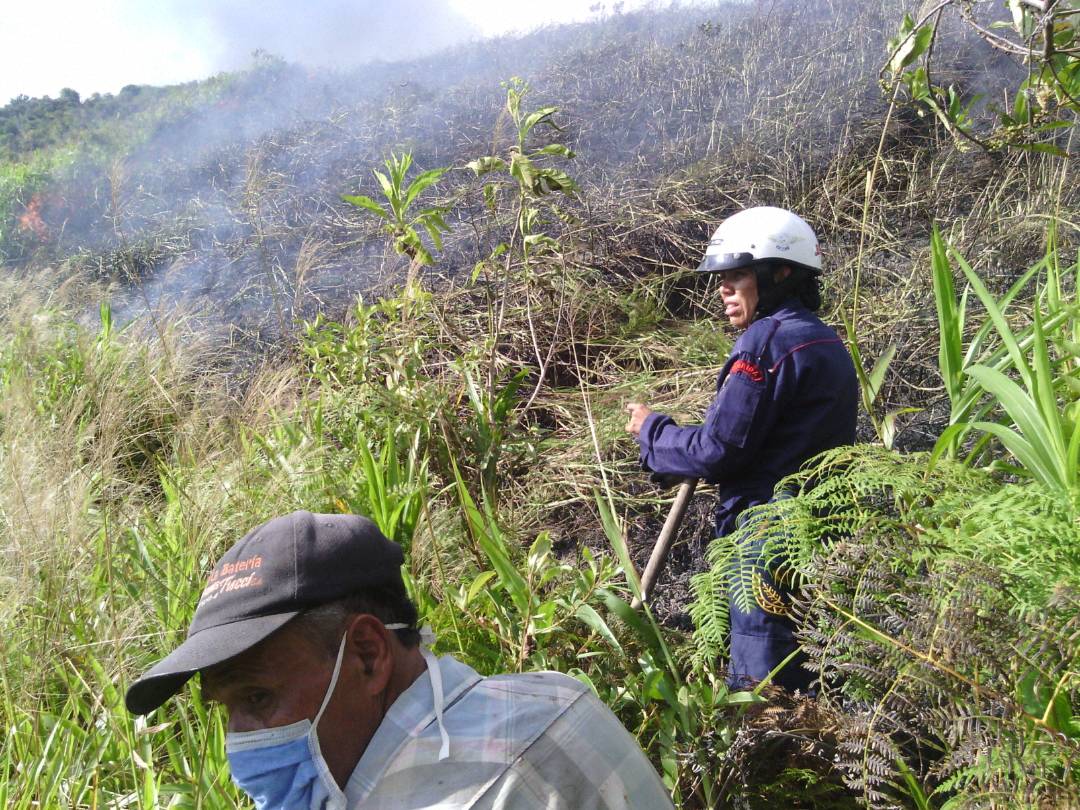 bomberos_merida's tweet photo. El equipo de trabajo de @CNB_Merida al mando de la Mayor Alvyss Aldana @Cmdte_CBM  extinguen incendio forestal así evitando su propagación en la comunidad de San Jose de las Flores Alto en la hacienda San Jose, dejando las respectivas recomendaciones. https://t.co/9QcpLOdPVl