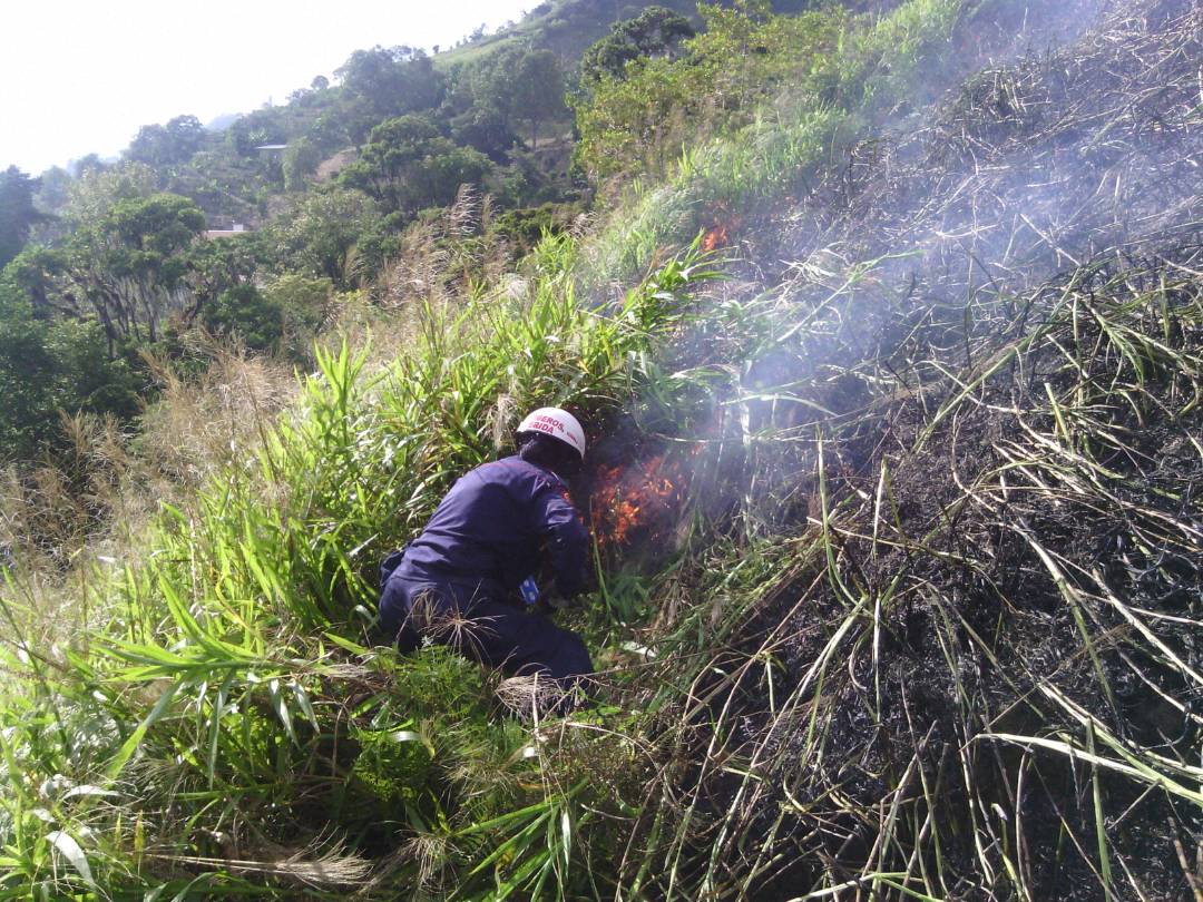 bomberos_merida's tweet photo. El equipo de trabajo de @CNB_Merida al mando de la Mayor Alvyss Aldana @Cmdte_CBM  extinguen incendio forestal así evitando su propagación en la comunidad de San Jose de las Flores Alto en la hacienda San Jose, dejando las respectivas recomendaciones. https://t.co/9QcpLOdPVl