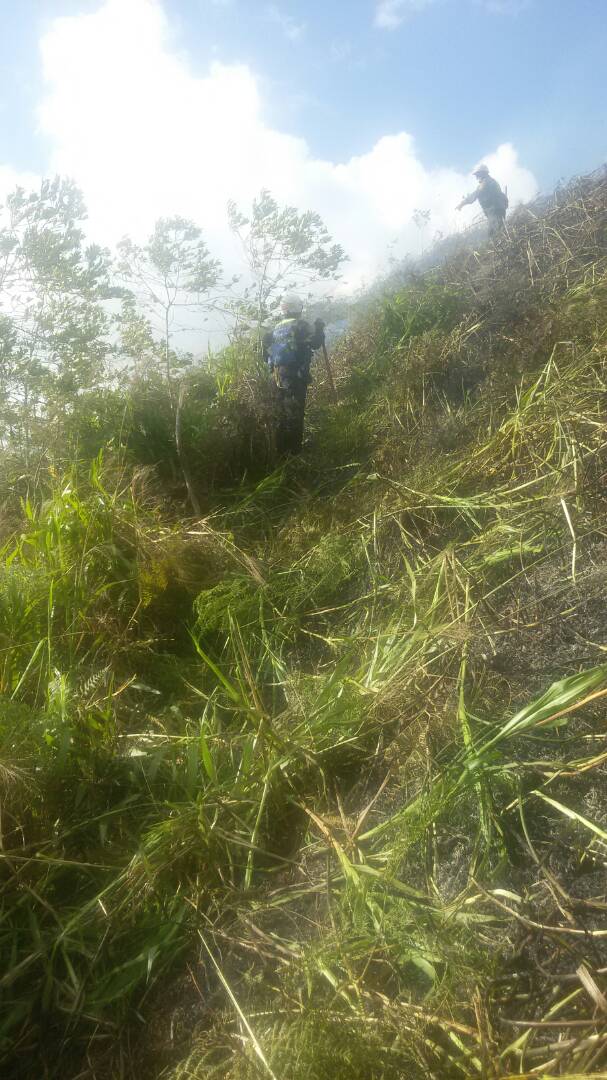 bomberos_merida's tweet photo. El equipo de trabajo de @CNB_Merida al mando de la Mayor Alvyss Aldana @Cmdte_CBM  extinguen incendio forestal así evitando su propagación en la comunidad de San Jose de las Flores Alto en la hacienda San Jose, dejando las respectivas recomendaciones. https://t.co/9QcpLOdPVl
