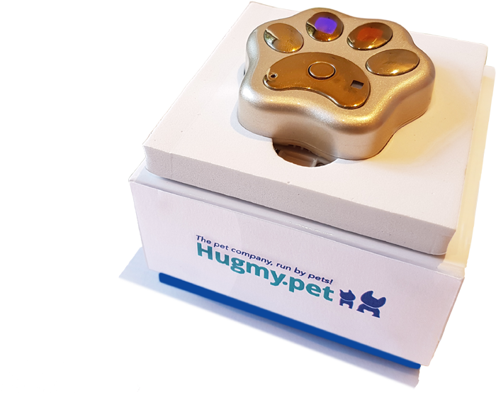 HugMyPet's tweet photo. A dog isn't just for Xmas! Yet sadly owners lose their dogs, and some never return. So, this year buy a present your dog-friendly friends and family will never forget. Get the best Dog GPS Tracking Collar using this Xmas Gift Voucher https://t.co/SJgI9BgtID https://t.co/cUd4KDaMrD