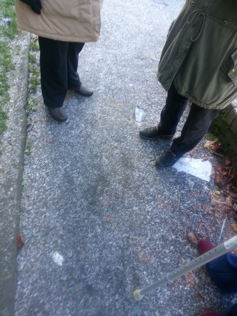FCHODanielle's tweet photo. Resident walkabout on Holly Estate this morning. Tenants have come with Lots of great neighbourhood suggestions for up and coming improvements in 2018 #FCHONhoods #royton @FirstForFCHO https://t.co/qu6WkprpxS