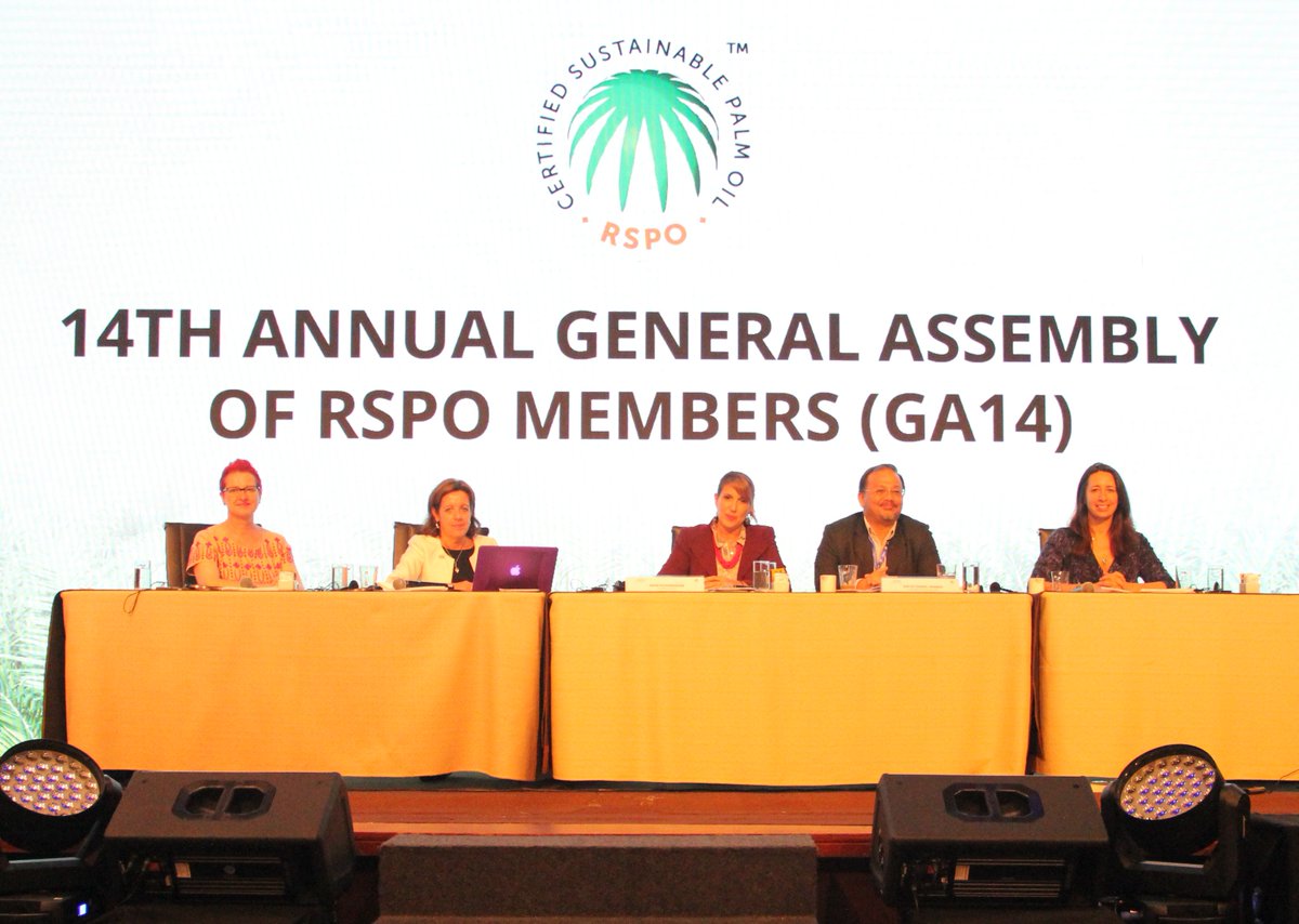 RSPOtweets's tweet image. #RT15 ended with a focus on ensuring standards are attainable by all &amp;gt; rspo.org/news-and-event…