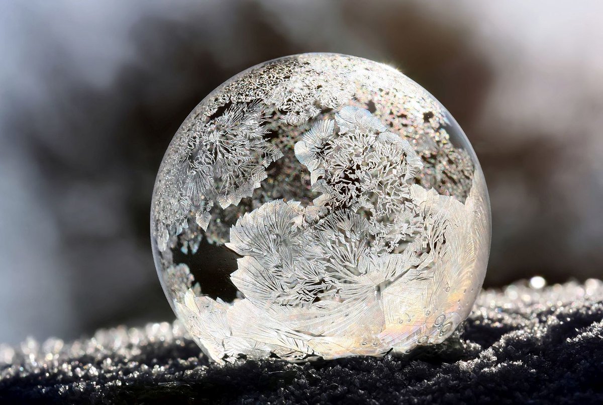 scuolanormale's tweet photo. Anche oggi, rammentandovi il Concorso internazionale #WikiScienceCompetition2017 di cui #Vis #SNS è sponsor italiano, pubblichiamo uno tra gli scatti vincenti delle scorse edizioni: 
[Freezed. Photo by Danielarapava]. Come partecipare al Concorso: https://t.co/rMdJfoGXy6. https://t.co/F9QU3av8FP