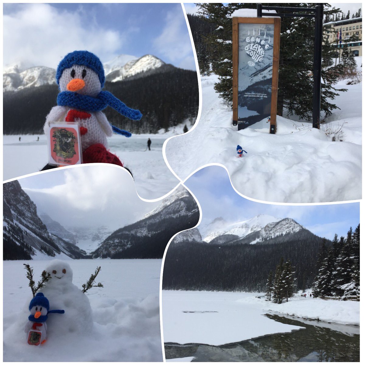 Fant_Duck's tweet photo. It was a tad chilly at #LakeLouise #Alberta today! @Banff_Squirrel @elfcharity @JonAntoine I did meet a great snow pal though! ☃️❄️ https://t.co/3ybXiiH4aB