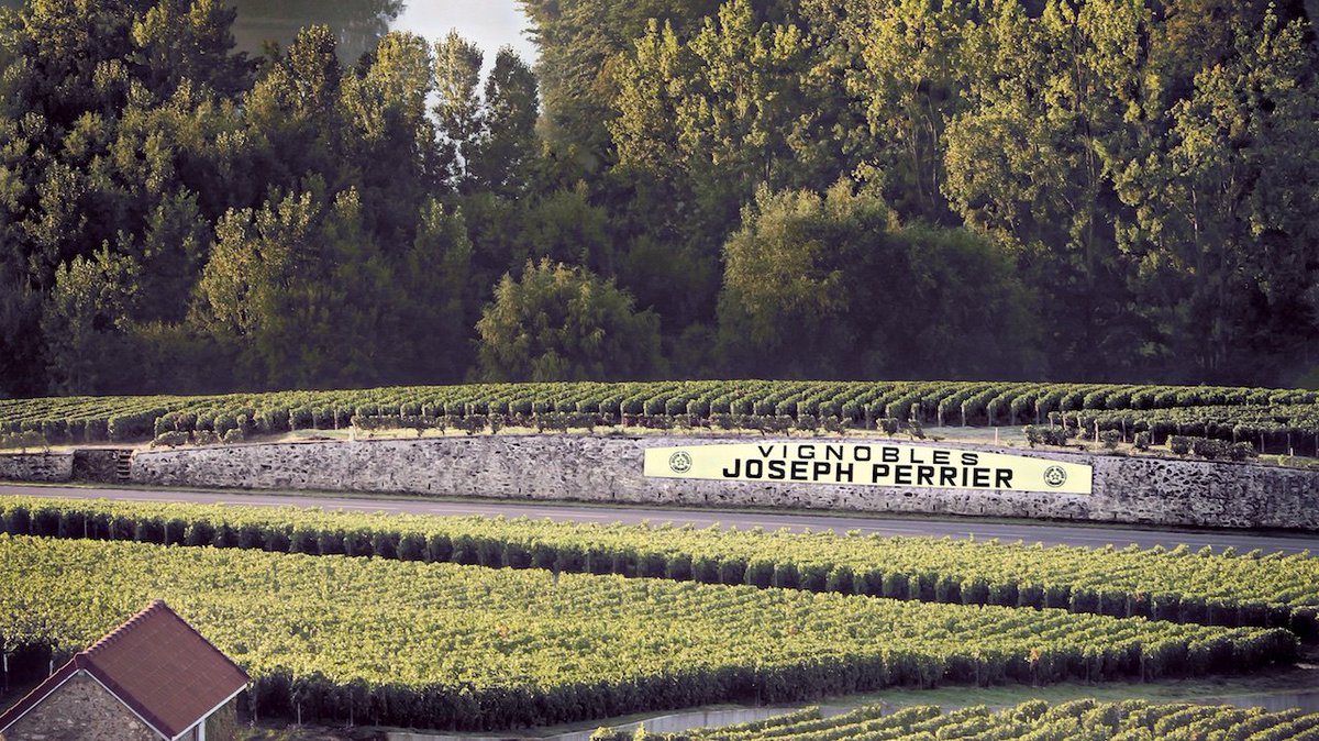 Maison Joseph Perrier: 5 assaggi d'#autore. ow.ly/xWk030gPWRj