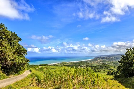 OCE_CIRE's tweet photo. #CherryTreeHill in #Barbados offers one of the best vantage points on the island!
#Barbadian #ProudToBeABajan #EastCoast #SeaViews #Nature #Landscape https://t.co/wRbGs1qM6p