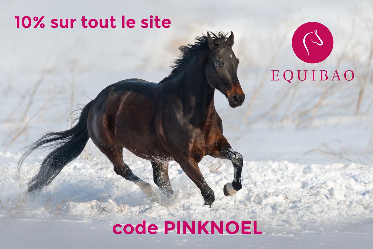 equibao's tweet photo. C'est le Pink Noël ! 10% de remise sur tous les produits jusqu'au dimanche 3 décembre minuit https://t.co/t8yHYvlnKB https://t.co/zUgNTLB9In