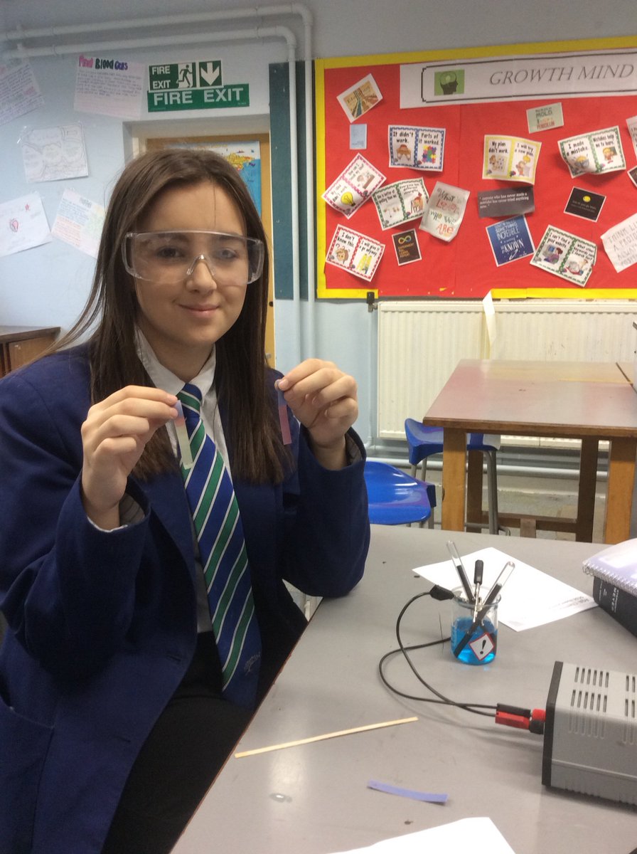 Ebor_F_Science's tweet photo. GCSE Science C6 required practical, Electrolysis! Well done guys, superb example of independent work! #proud https://t.co/W1uzlqPVr1