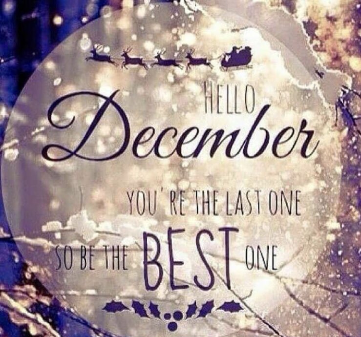 Lozwild92's tweet photo. The most wonderful time of the year , My favourite ⛄️🍫🎁☕️❄️🎉🎅🏼🔥 #BirthdayMonth #Christmas #NYE #Friends #Family #Santa #Advents #Hotchocs #Snow #XmasMarkets #December https://t.co/4IyzC4p7kN