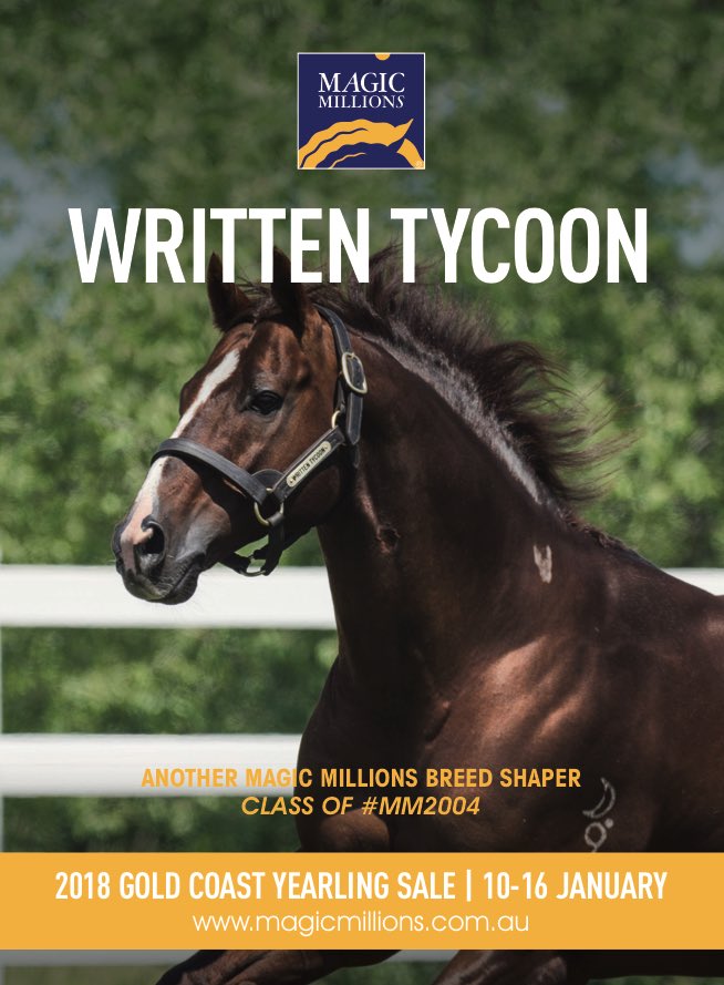 anz_news's tweet photo. WRITTEN TYCOON -  Class of #MM2004 - Another Magic Millions Life Changer @mmsnippets 2018 Gold Coast Yearling sale 10-16 January https://t.co/MaHgxNbZas