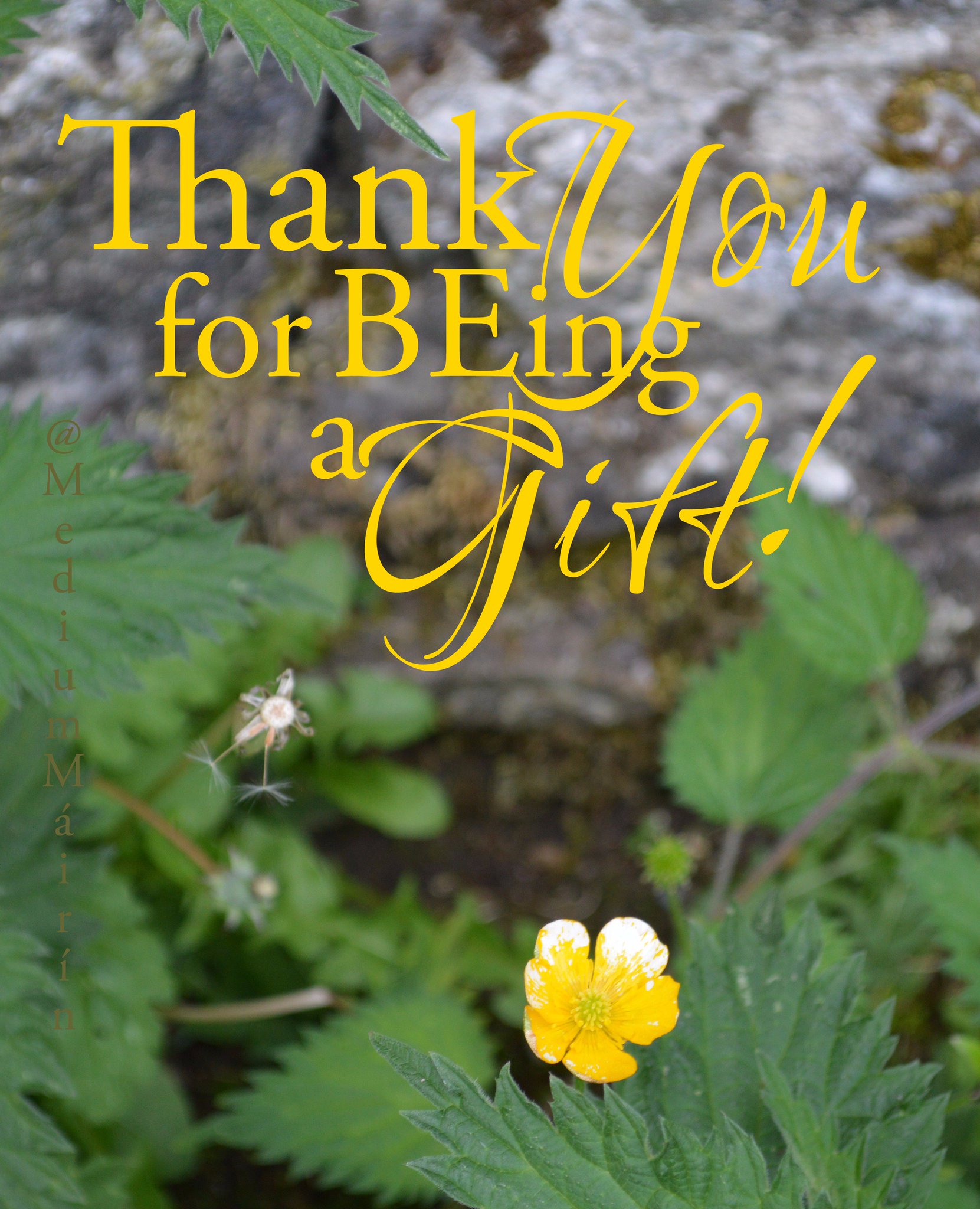  Happy Birthday, Bette Midler! 