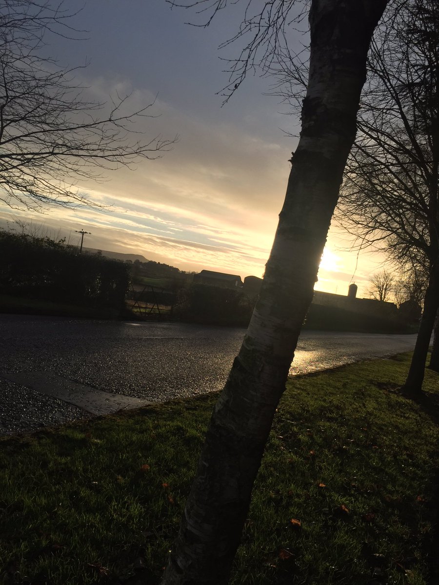 abtsag's tweet photo. #OnTheFirstDay Of Christmas It was a beautiful day time for a walk I say!! https://t.co/WTSSgvgcOm