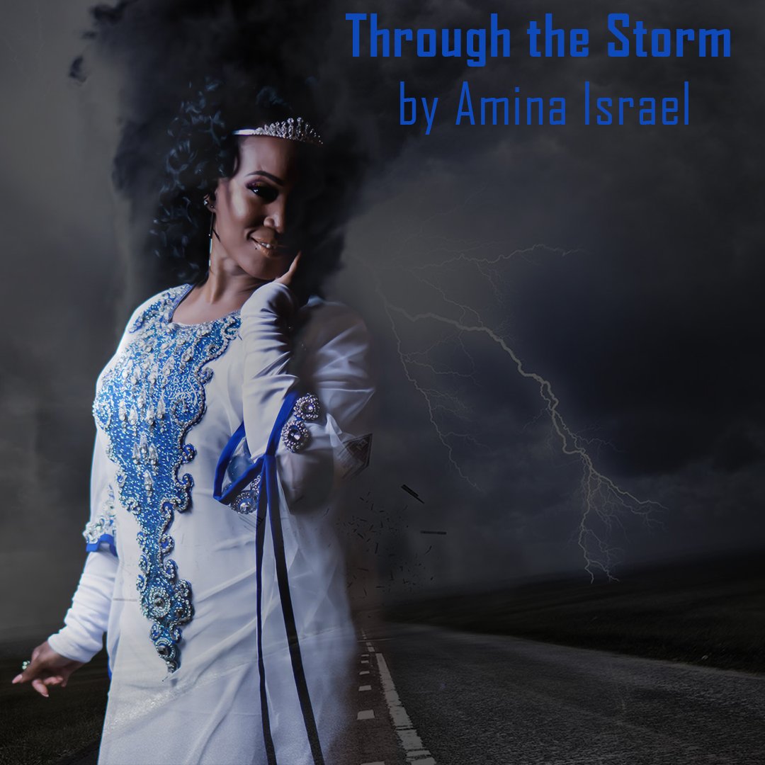 StrategicPurpos's tweet photo. Armina Israel • Through The Storm•

#throughthestorm #booklovers #booklaunch https://t.co/y0TR7OTzxk