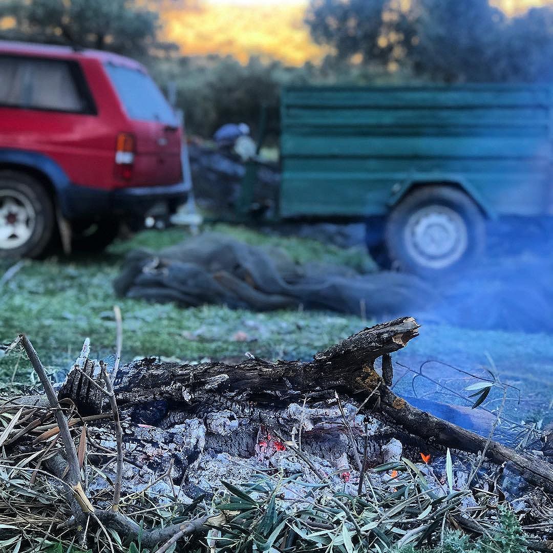 TOMAandCOE's tweet photo. Something I’d never thought I’d witness. We associate #Andalucia with baking temperatures but today the thermometers have plummeted and we awoke to sub zero numbers and frosts. Nevertheless, the olives still need picking so onwards and upwards.
#extremes #eevo https://t.co/ypJyfeCVHn