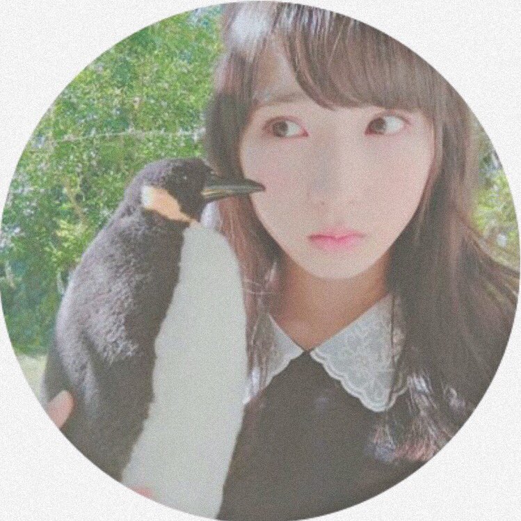 ___y_____y_'s tweet photo. まようさん 、 https://t.co/zRLvWsIplg